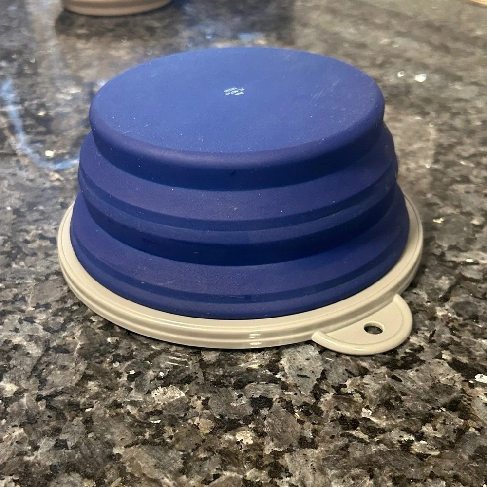 Portable Blue and Gray Collapsible Bowl